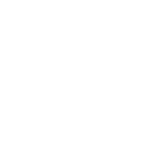 Honda approved training school